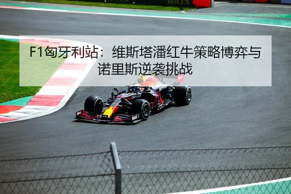 F1匈牙利站：维斯塔潘红牛策略博弈与诺里斯逆袭挑战