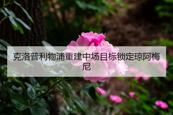 ke-luo-pu-li-wu-pu-chong-jian-zhong-chang-mu-biao-suo-ding-qiong-a-mei-ni-3-357.jpg