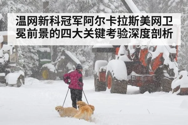 温网新科冠军阿尔卡拉斯美网卫冕前景的四大关键考验深度剖析
